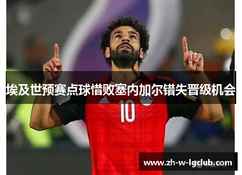 埃及世预赛点球惜败塞内加尔错失晋级机会